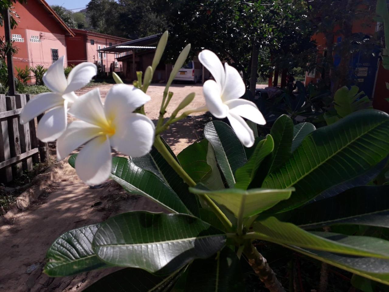 Lanta Lucky House Hotel Ko Lanta Buitenkant foto