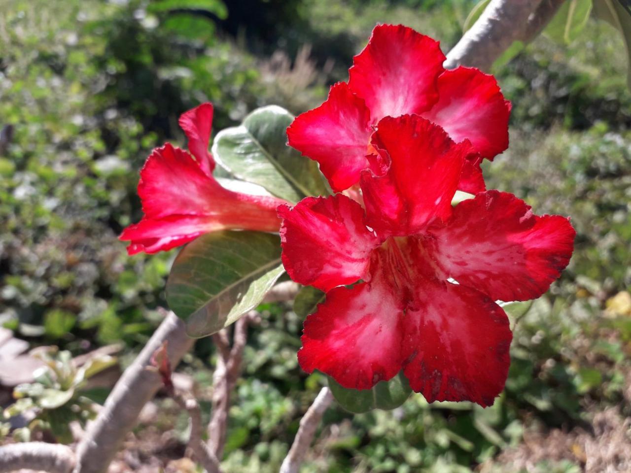 Lanta Lucky House Hotel Ko Lanta Buitenkant foto